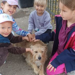 Kompleksowe podnoszenie jakości edukacji przedszkolnej w Gminie Stary Targ