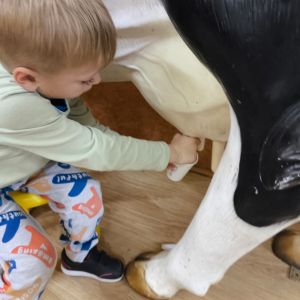 Kompleksowe podnoszenie jakości edukacji przedszkolnej w Gminie Stary Targ