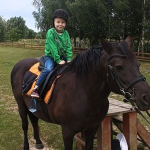 Kompleksowe podnoszenie jakości edukacji przedszkolnej w Gminie Stary Targ